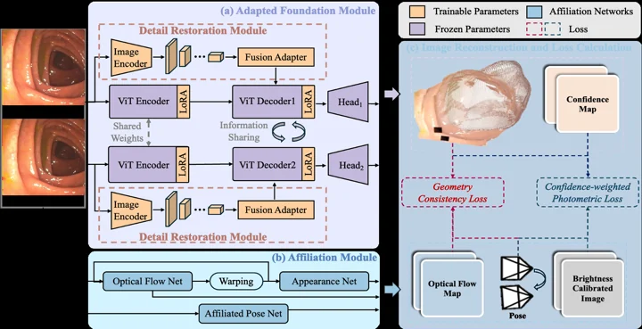 Fig. 2: Foundation model adaptation and training pipeline.
